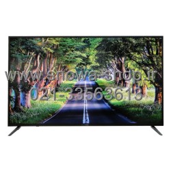تلویزیون ال ای دی 55 اینچ دوو الکترونیک مدل Daewoo Electronics LED TV DLE-55H1800